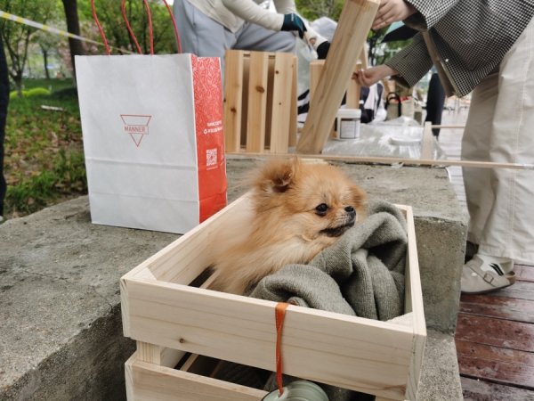 上海居民亲手搭建网红景点，还会“漂流”