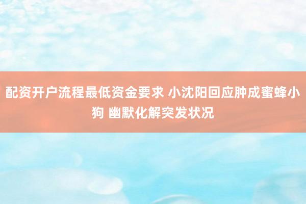 配资开户流程最低资金要求 小沈阳回应肿成蜜蜂小狗 幽默化解突发状况