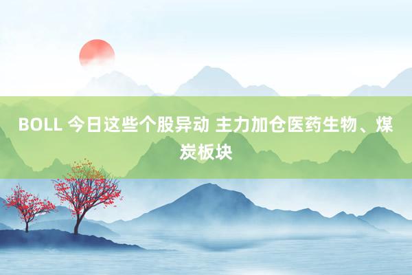 BOLL 今日这些个股异动 主力加仓医药生物、煤炭板块